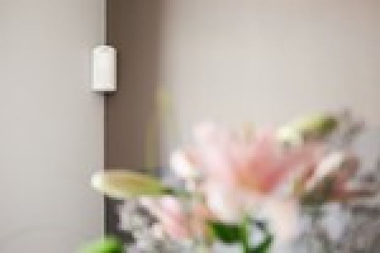 Bosch ➤ Smart Home Bewegungsmelder #8750000018✅ online kaufen!