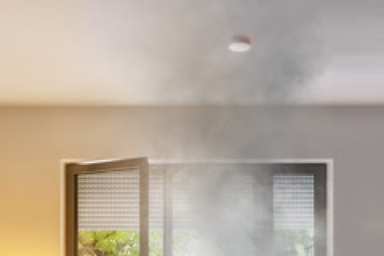 Bosch ➤ Smart Home Rauchwarnmelder II #8750002142✅ online kaufen!